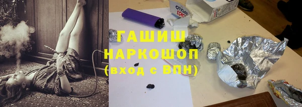 дурь Няндома
