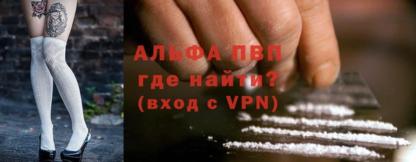 дурь Няндома