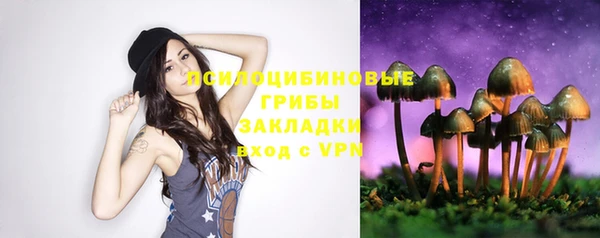 дурь Няндома