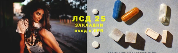 дурь Няндома