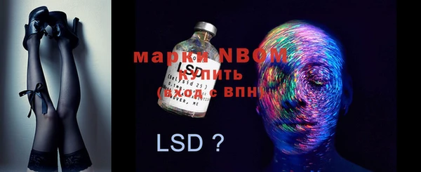 дурь Няндома