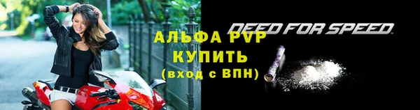 шишки Билибино