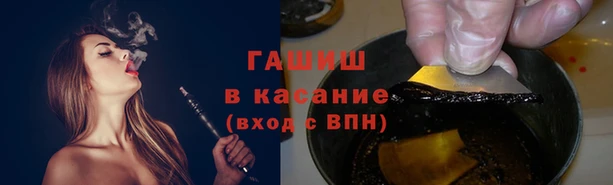 сатива Нягань