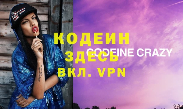 дурь Няндома