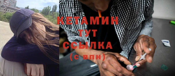 дурь Няндома
