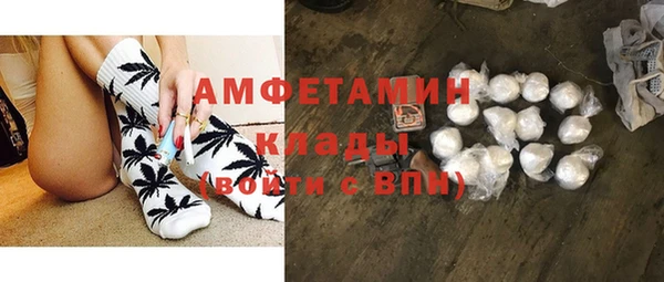 дурь Няндома