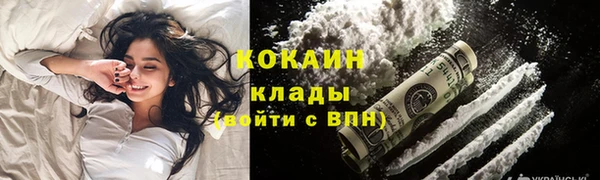 дурь Няндома