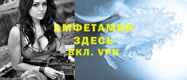 дурь Няндома