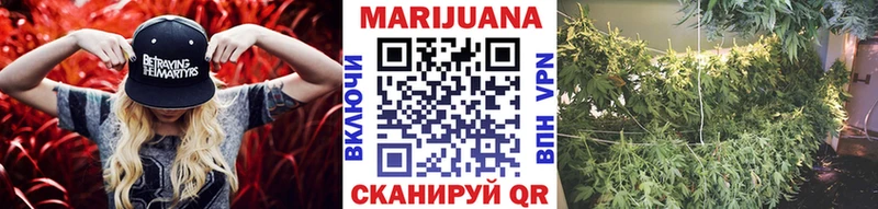 kraken зеркало как найти закладки Игра Бошки Шишки планчик